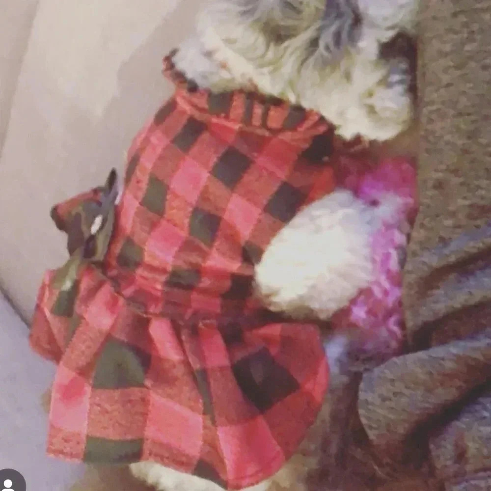HOLIDAY DOG DRESS BUFFALO PLAID RUFFLE HEM W BIG BOW & GEMSTONE FOR SMALL DOG - Picture 2 of 12